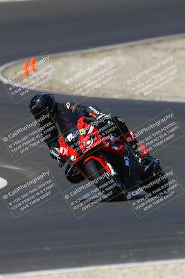 media/Jul-19-2025-TrackDaz (Sat) [[ff1509a44a]]/C Group/1040am (Turn 3)/